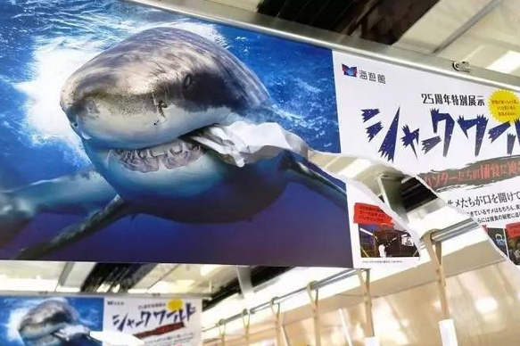 這是一張海報的正反面。人們很容易被這個破損的不尋常海報吸引注意力。