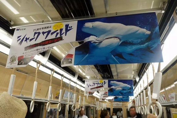 這是一張海報的正反面。人們很容易被這個破損的不尋常海報吸引注意力。