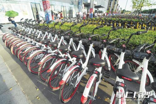 昨日下午，在開福區(qū)萬達廣場，成片的共享單車停放在廣場前坪。 長沙晚報記者 黃啟晴 攝