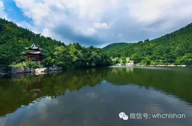 花期已過葉還未紅 去赤山賞云吧！