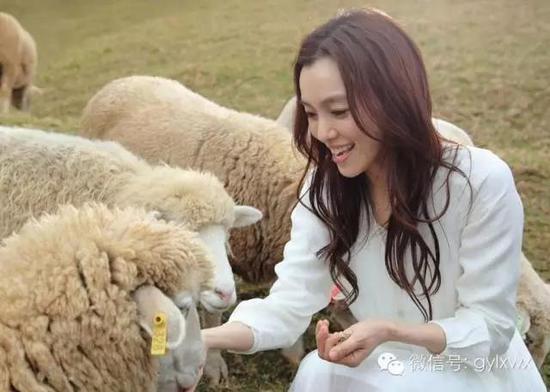 明星旅行糗事一籮筐 總有一個萌到你！