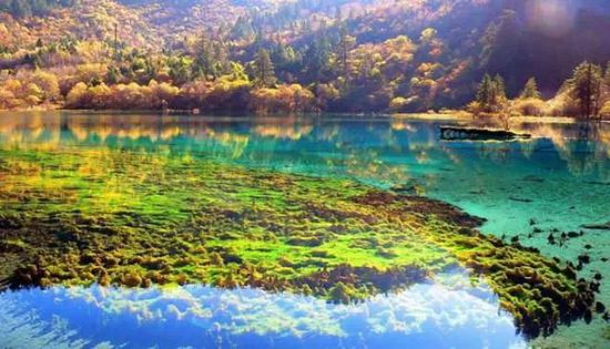 門票那么貴 沒法玩耍了！