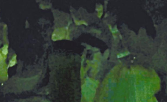 房祖名去年被港媒直擊在中環(huán)夜店與長發(fā)妞互動曖昧，女生正是Nana