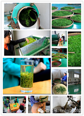 制茶的工藝真地道，仿佛聞到了茶香