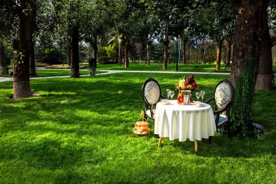 秋陽鴻園，芳草青青