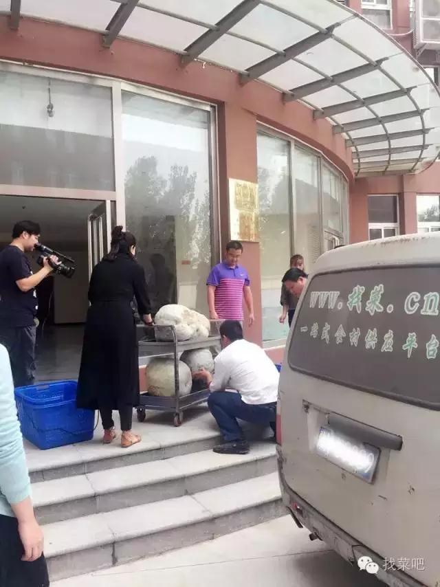 找菜網(wǎng)認(rèn)購百萬斤冬瓜，解農(nóng)戶燃眉之急