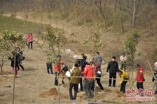 熱火朝天的植樹(shù)總動(dòng)員 熱火朝天的植樹(shù)總動(dòng)員