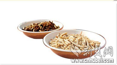 待制作的蝗蟲(chóng)(左)和竹蟲(chóng)食材