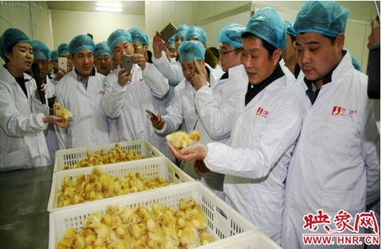 百名滬商看信陽(yáng)活動(dòng)圓滿成功