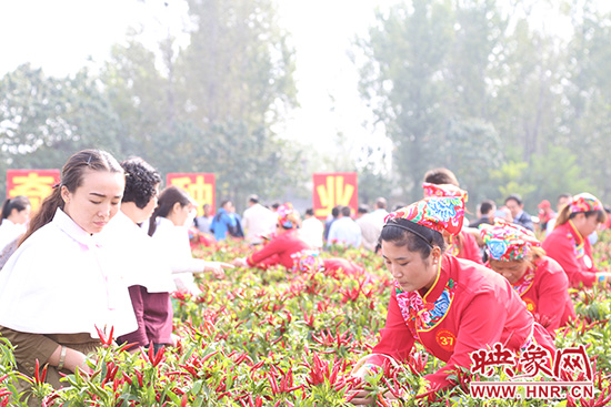 辣妹子摘辣椒比賽 辣妹子摘辣椒比賽