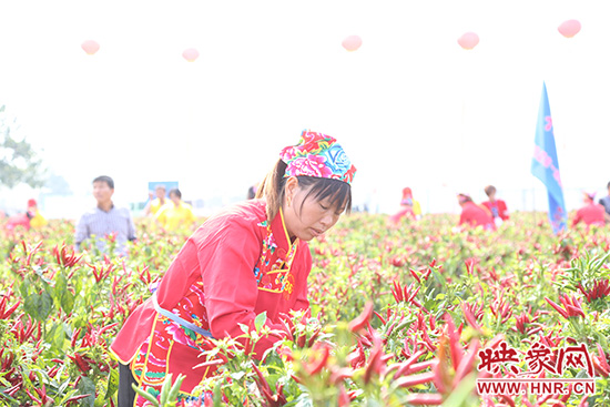 認(rèn)真比賽的辣妹子 認(rèn)真比賽的辣妹子