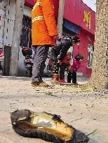 老漢右腿燒傷，樹下扔了一只燒焦的鞋