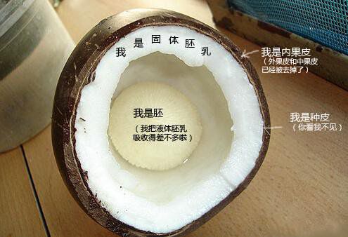 你在甜品店常吃的東西，到底都是啥？