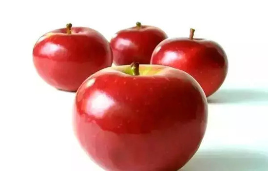 小心有毒！各種蔬果不能吃的部分