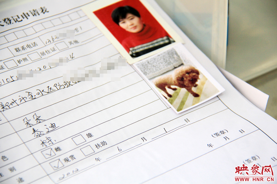 辦理狗證，需要填寫申請表