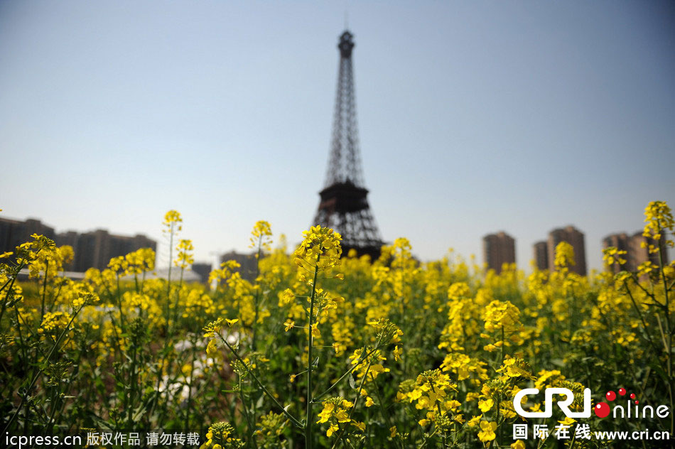 　2014年3月21日，杭州天都城，農(nóng)民在山寨埃菲爾鐵塔下耕作。圖片來源：東方IC