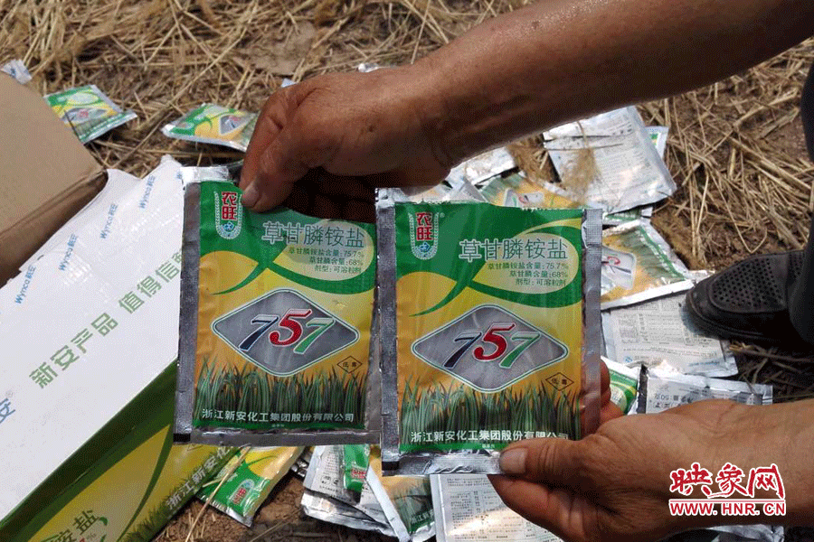 毀掉玉米的農(nóng)藥袋散落在地頭。