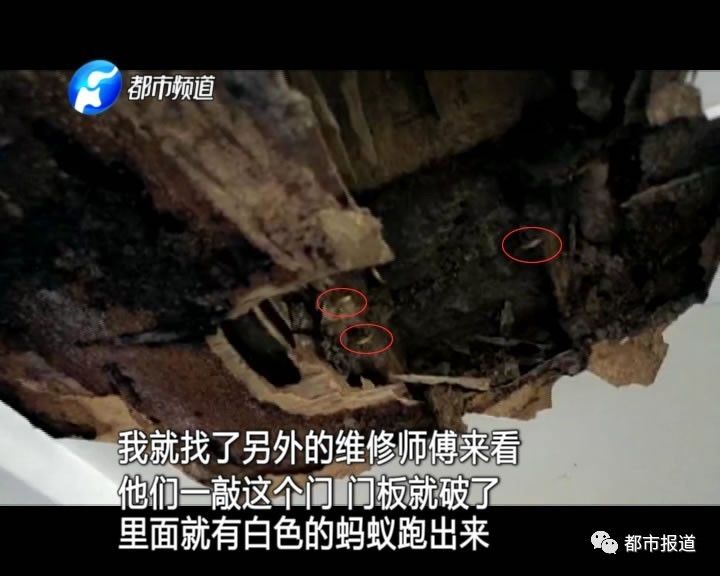 蟻?zhàn)宕筌娙肭郑∈畮兹f(wàn)裝修的新家被“吃掉”