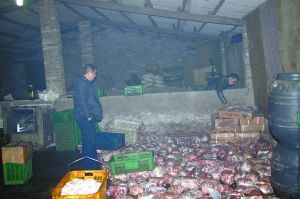  警方現(xiàn)場(chǎng)查獲的大量病死豬肉及“問(wèn)題”腌臘制品。 沙區(qū)警方供圖