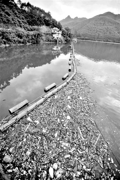 7月7日，廣西賀州市賀江合面獅段被污染的水域。據(jù)新華社