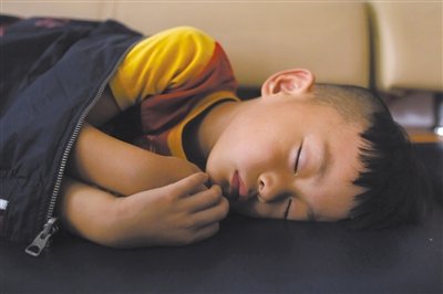 9月6日，等待錄制節(jié)目的多多躺在沙發(fā)上熟睡。新京報記者 侯少卿 攝