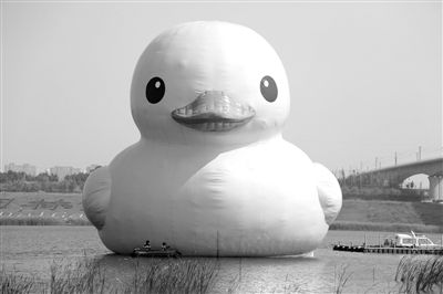 昨日，經(jīng)過連夜修正，大黃鴨的嘴部已恢復(fù)變寬，和在香港展出時看起來一樣。