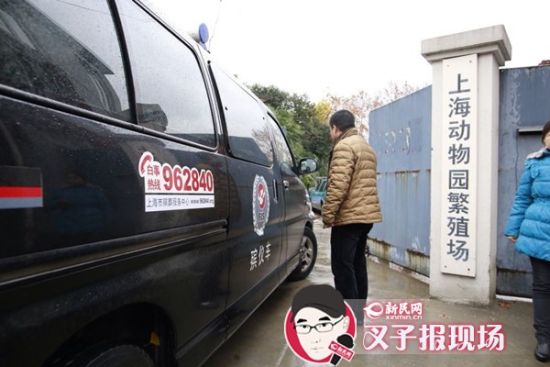 殯葬車到達(dá)現(xiàn)場(chǎng)。新民網(wǎng) 記者 蕭君瑋 攝