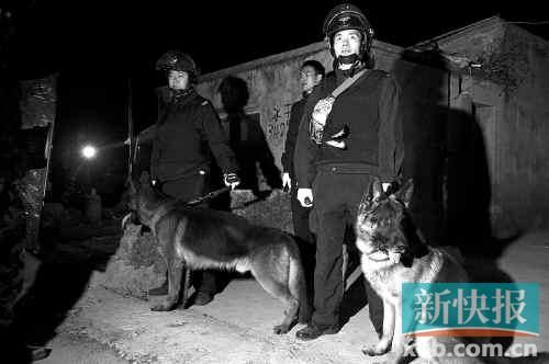 緝毒犬協(xié)助警方搜查毒品。