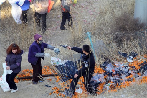 蘭州貨車側(cè)翻橘子遭百余村民哄搶，警察拔槍制止
