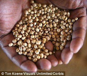 超強(qiáng)厄爾尼諾將引發(fā)全球極端天氣，中國北方或極端高溫-