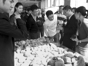 前段時間，夫子廟古玩城舉行的一場賭石活動，吸引了不少人參與