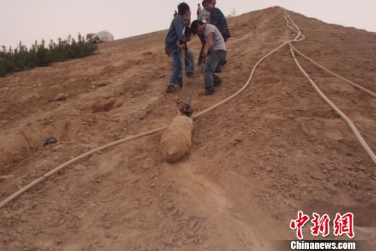 　4月27日上午，當?shù)卮迕裨诠系販洗逡痪G化處挖出一枚長1米，重200斤的炸彈，5月10日，這枚炸彈已