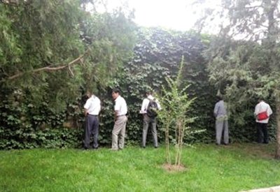 頤和園綠地內(nèi)數(shù)十游客小便引外國游客拍照 頤和園綠地內(nèi)數(shù)十游客小便引外國游客拍照