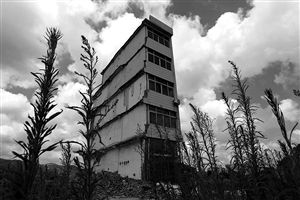 這幢5層的“片片樓”周圍已是一片拆遷后的廢墟，左邊的一堵墻上，不少鋼筋裸露在外面 圖片來源：新華網(wǎng)