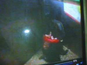 侯某被摁倒割喉。