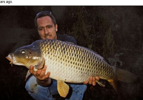 英國(guó)男子捕獲14年前放生巨鯉 鯉魚(yú)體重翻番 英國(guó)男子捕獲14年前放生巨鯉 鯉魚(yú)體重翻番