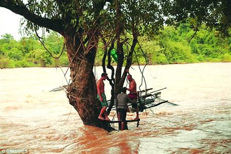 蓋屋、種菜，“從沒這樣快樂”
