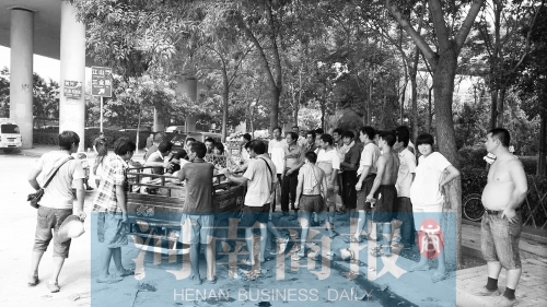 北環(huán)南陽路立交橋下，瓜農(nóng)小秦被打后，附近瓜農(nóng)紛紛圍了上來