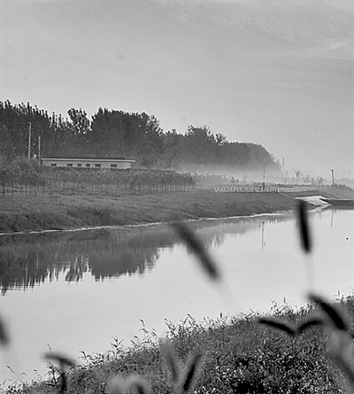 運河晨曦 運河晨曦