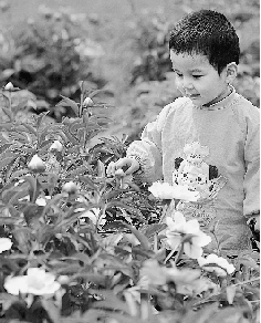 　春光里,鄭州處處皆美景。