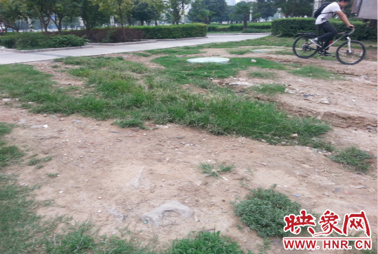 公園內(nèi)大片草坪遭到破壞。