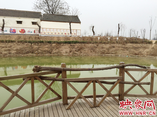 護(hù)欄損毀的地方，已經(jīng)被兩根樹干擋住。