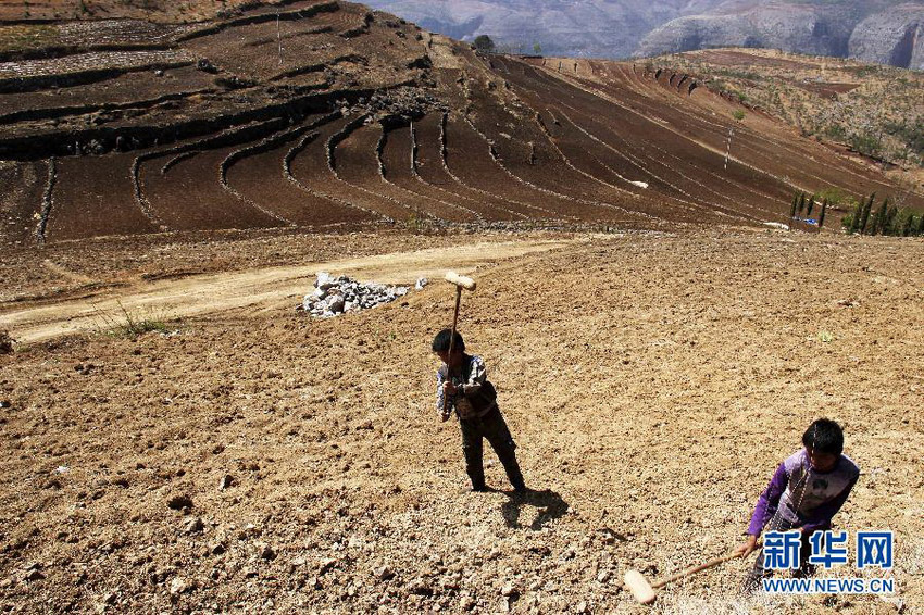 3月16日，在貴州省畢節(jié)市威寧縣斗古鄉(xiāng)中關(guān)村，兩個(gè)孩子幫助家人在干旱的土地上勞動(dòng)。