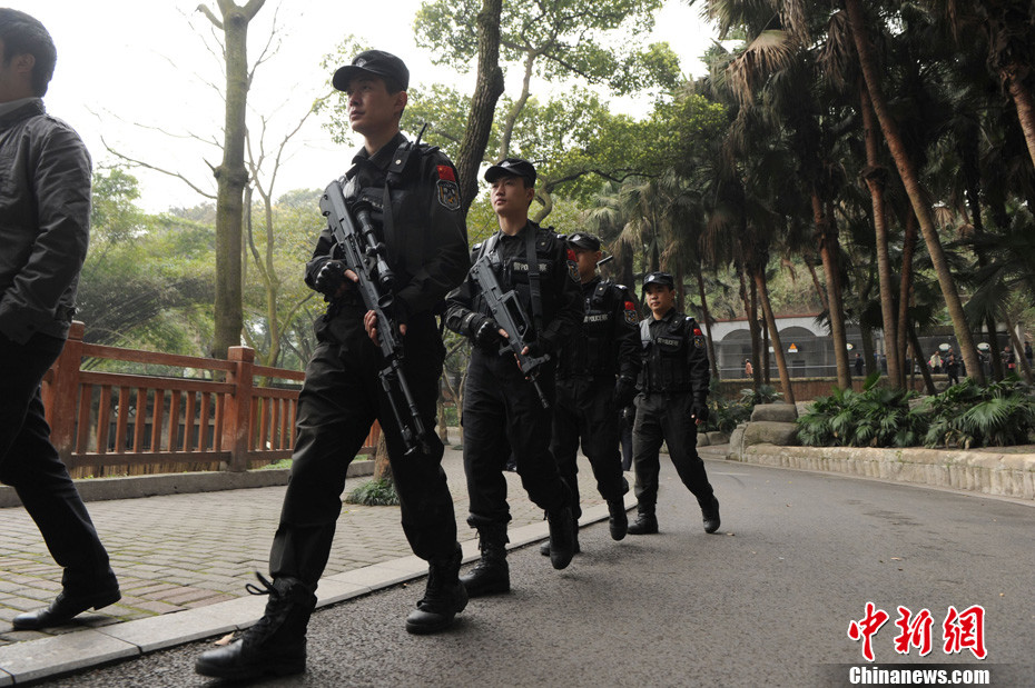 重慶動(dòng)物園兩頭獅子“越獄” 已被麻醉移至籠舍
