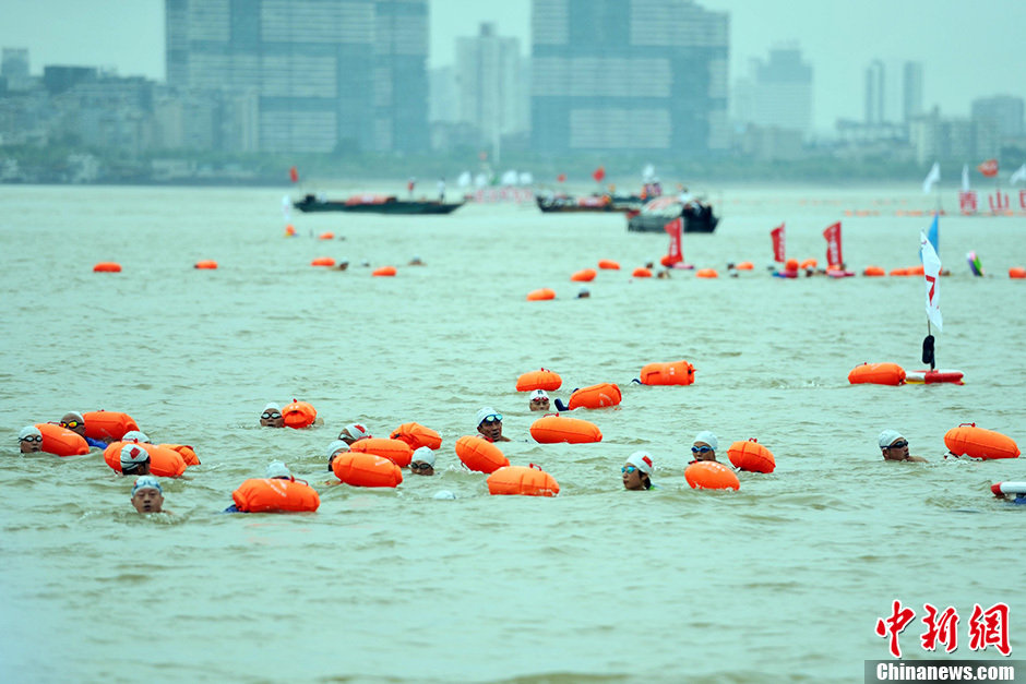 圖為江面上的橫渡方隊里的選手們劈波斬浪。中新社發(fā) 張暢 攝