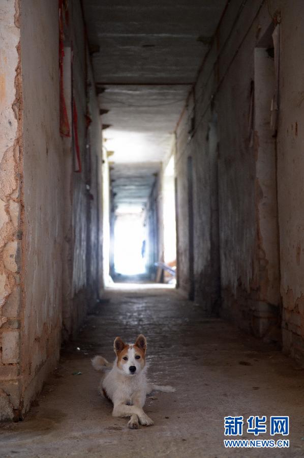 農(nóng)場棚戶區(qū)的最后留守家庭：留下的是回憶，迎來的是幸福