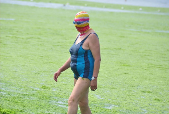 2013年7月3日，山東青島青島高溫來襲，“青島大媽”不懼滸苔，戴著“強盜面具”出現(xiàn)在海水浴場消暑降