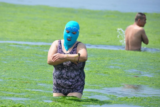 2013年7月3日，山東青島青島高溫來襲，“青島大媽”不懼滸苔，戴著“強盜面具”出現(xiàn)在海水浴場消暑降