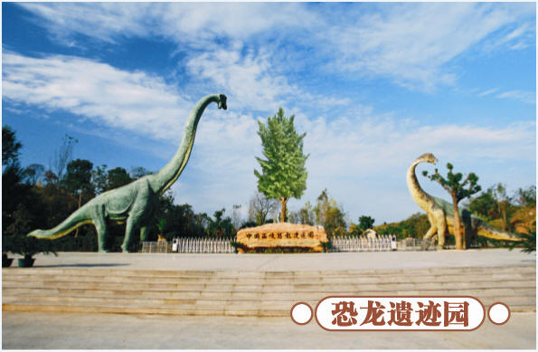 圣誕去哪兒？省內(nèi)歡樂地推薦