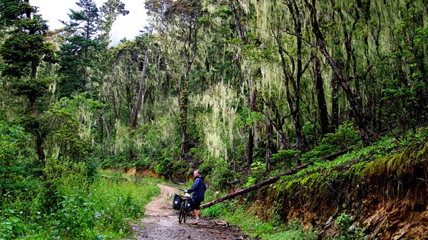 度個(gè)最特別的冬天 盤點(diǎn)12月最佳出游地 度個(gè)最特別的冬天 盤點(diǎn)12月最佳出游地